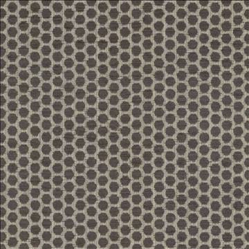 Kasmir Fabrics Delightful Dots Charcoal Fabric 
